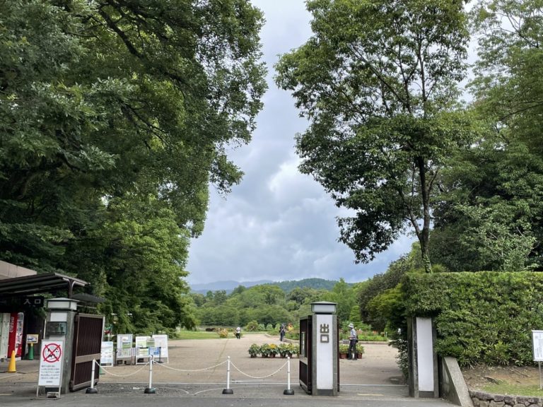 植物たちにかこまれて　「京都府立植物園」