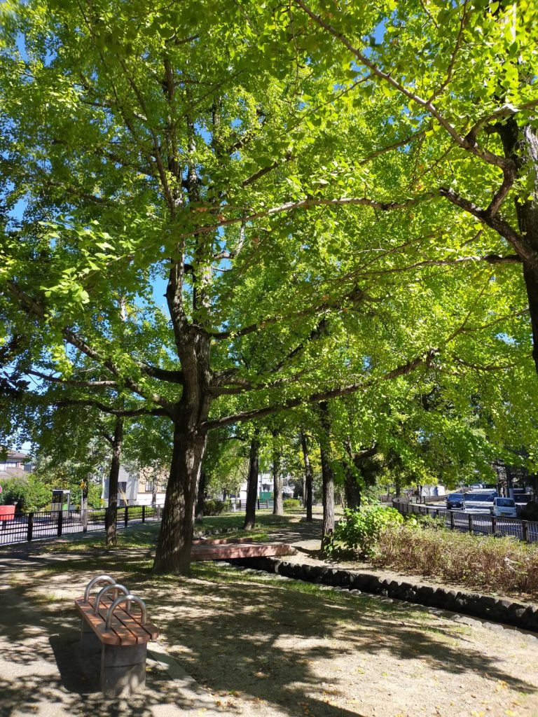 中央分離帯の中にある公園「紫明せせらぎ公園」(第１～第３まで)