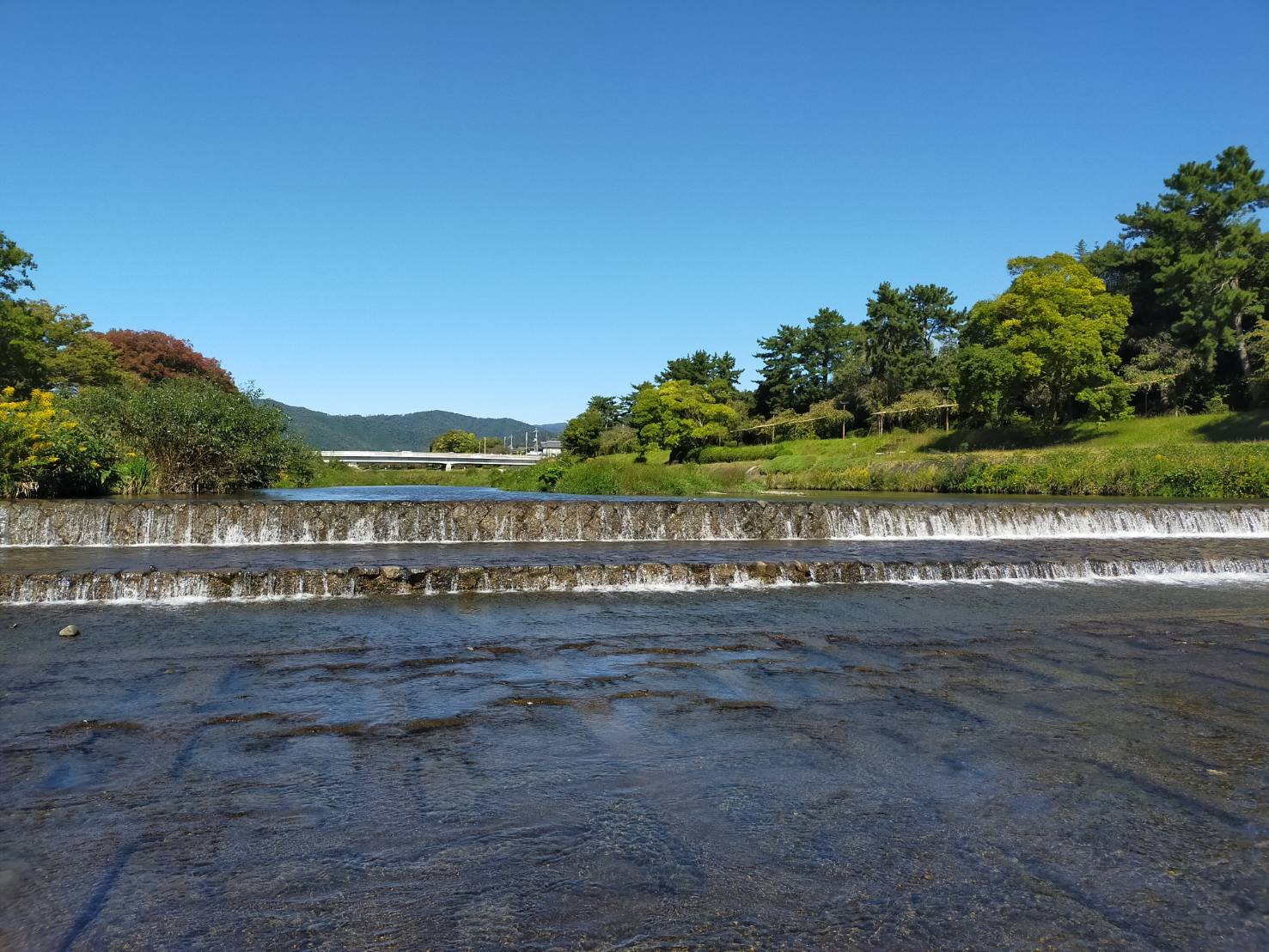 楽しみ方は無限大！鴨川公園 (北大路橋付近から上賀茂橋まで)